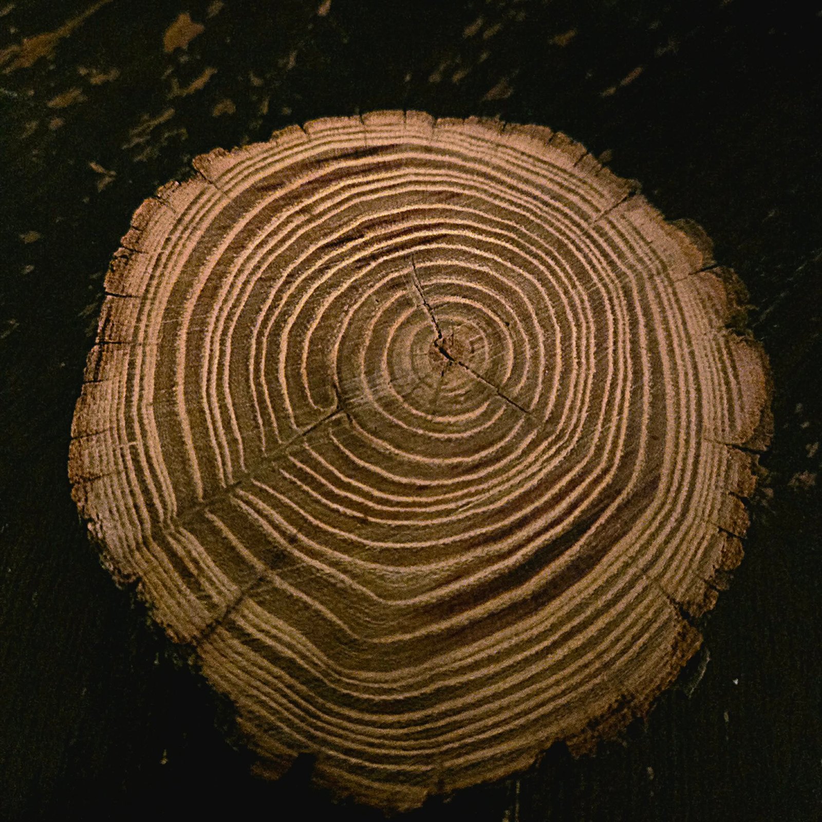 Handmade Drink Coasters - Image 3