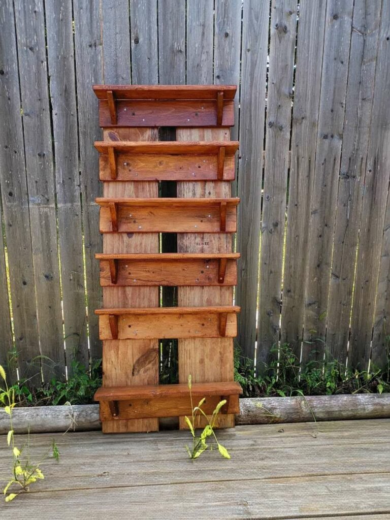 Handmade Collectible Display Shelf